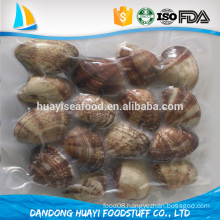 80% net weight 20% glazing vacuum packing frozen baby clam (size 11/20 21/30)